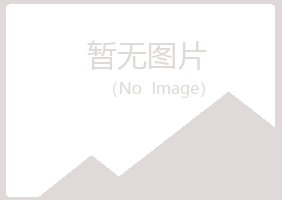 河池夏岚能源有限公司